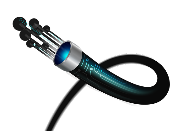 fiber